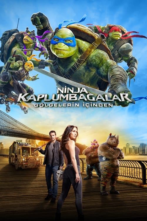 Ninja Kaplumbağalar: Gölgelerin İçinden posteri