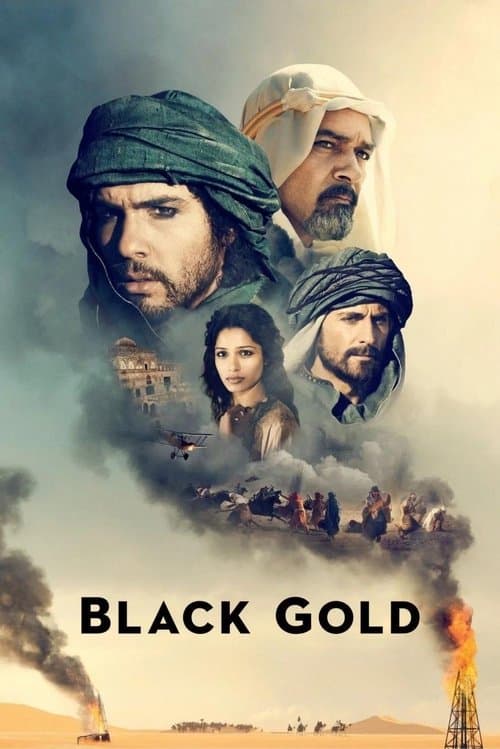 Kara Altın posteri