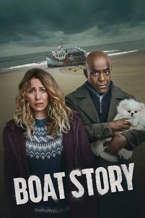Boat Story posteri