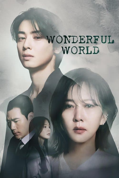 Wonderful World posteri