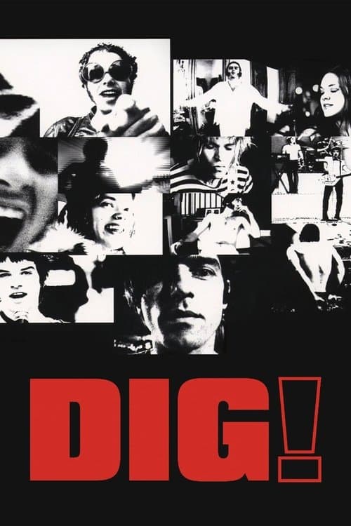Dig! posteri