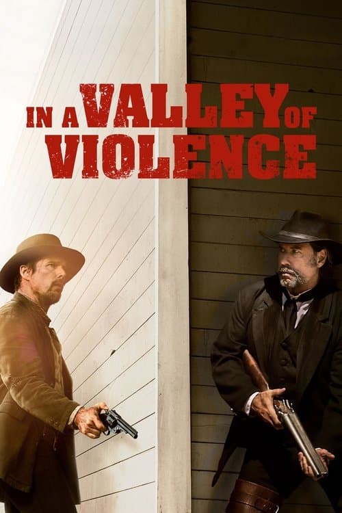 Vadinin Şiddeti posteri