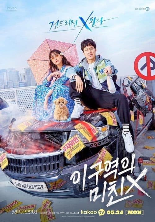 이 구역의 미친 X posteri