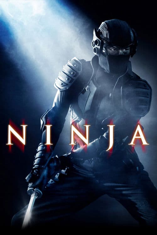 Ninja posteri