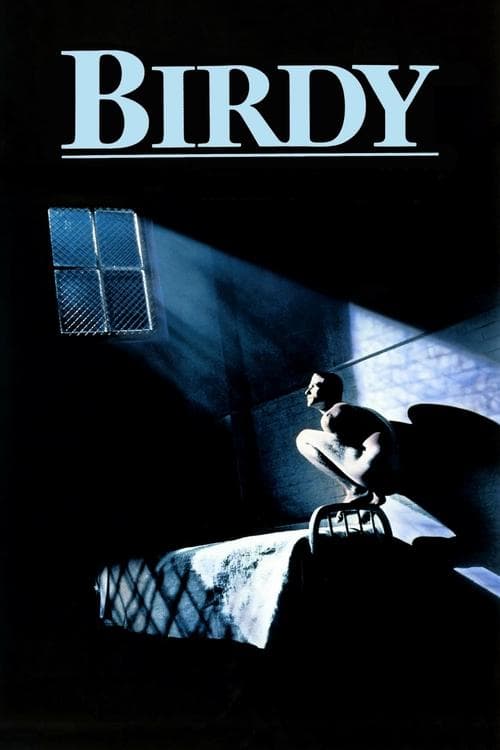 Birdy posteri