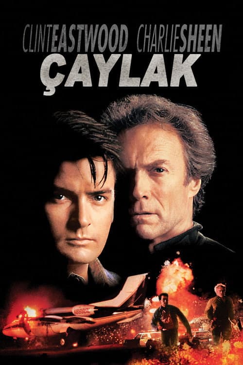 Çaylak posteri