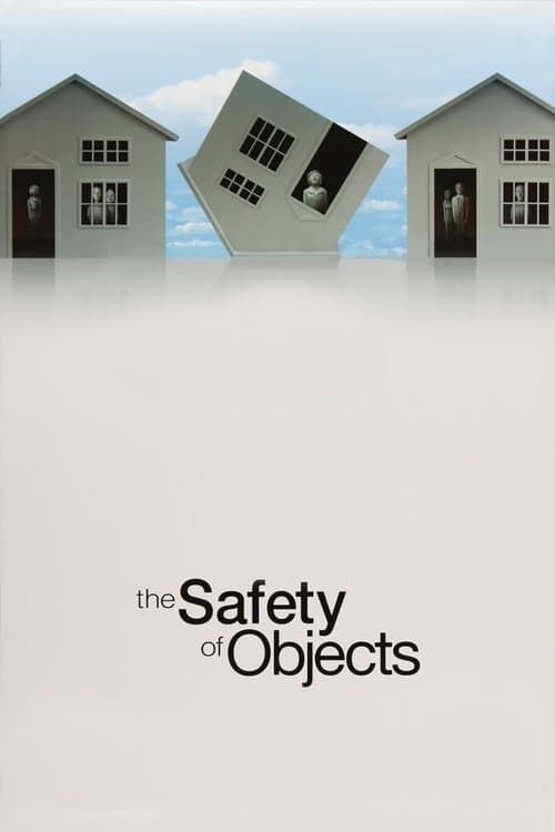 The Safety of Objects posteri